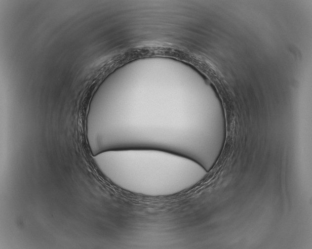 X0000112981062200908270913