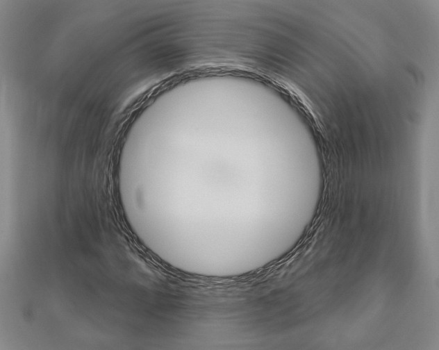 X0000112981064200908270913