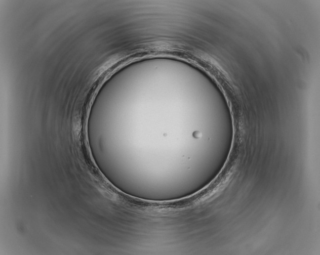 X0000112981065200908270913