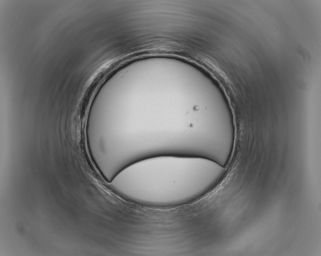 X0000112981067200908270913