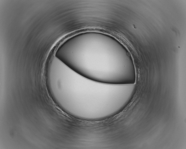 X0000112981068200908270913