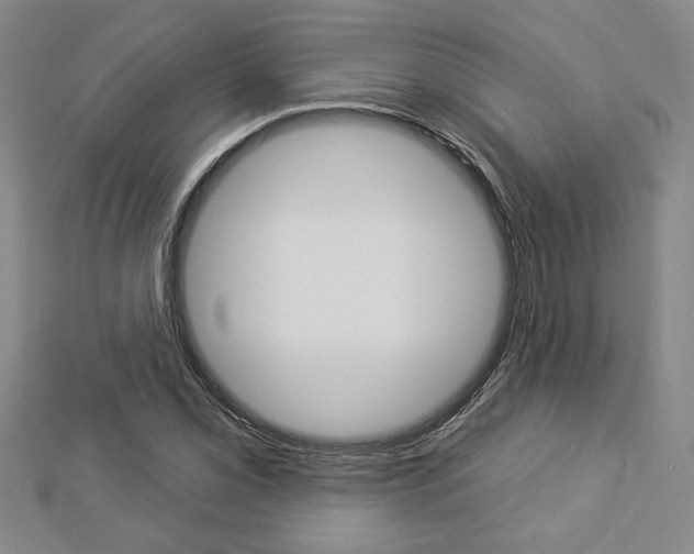 X0000112981069200908270913