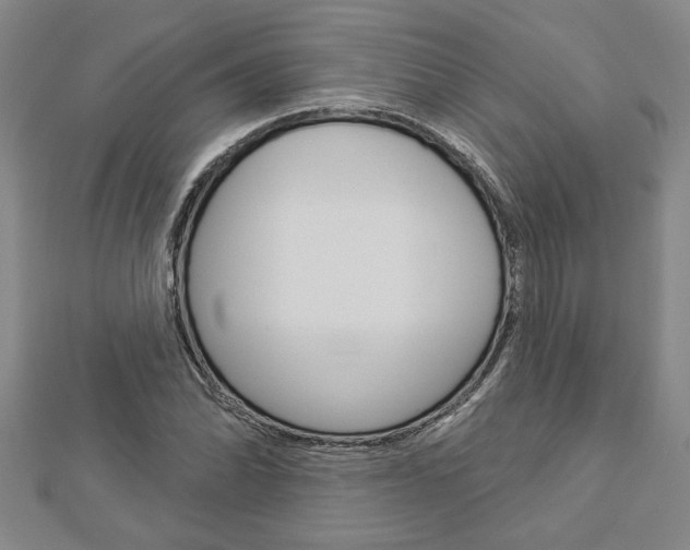 X0000112981070200908270913