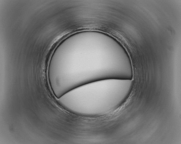 X0000112981071200908270913