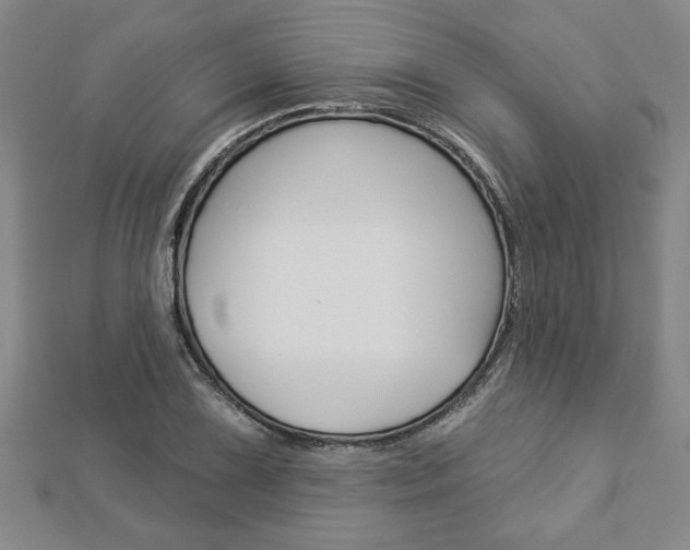 X0000112981075200908270913