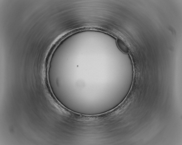 X0000112981076200908270913