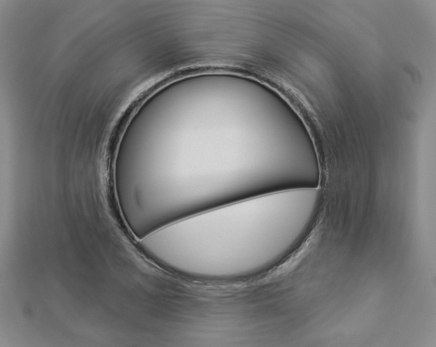 X0000112981077200908270913