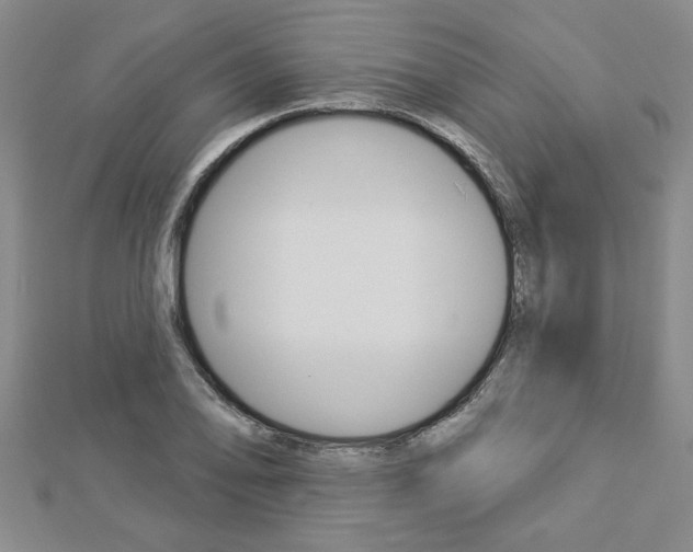 X0000112981078200908270913