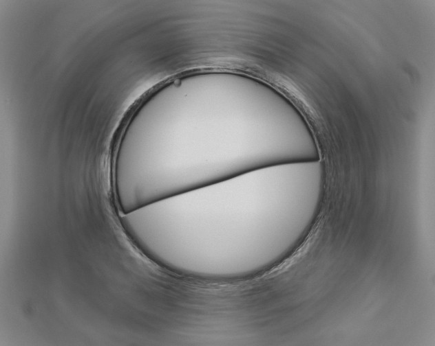 X0000112981079200908270913