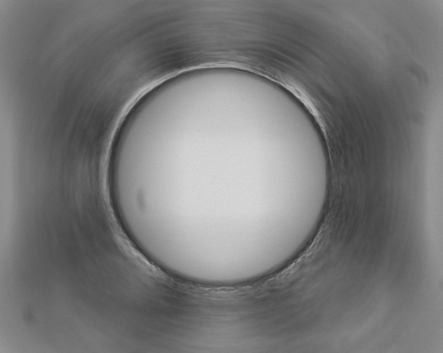 X0000112981080200908270913