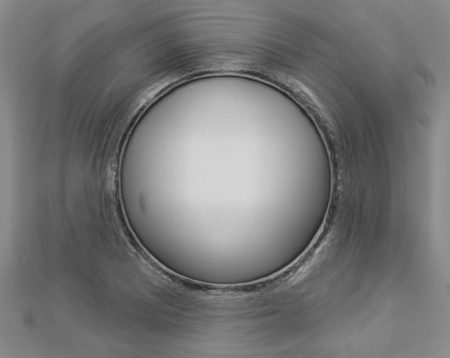 X0000112981081200908270913