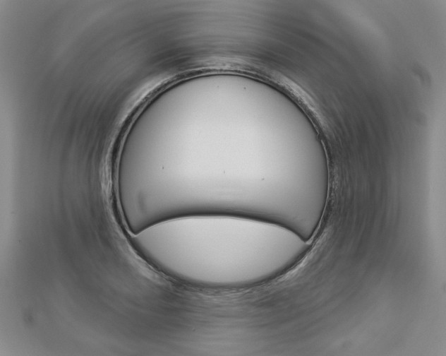 X0000112981082200908270913