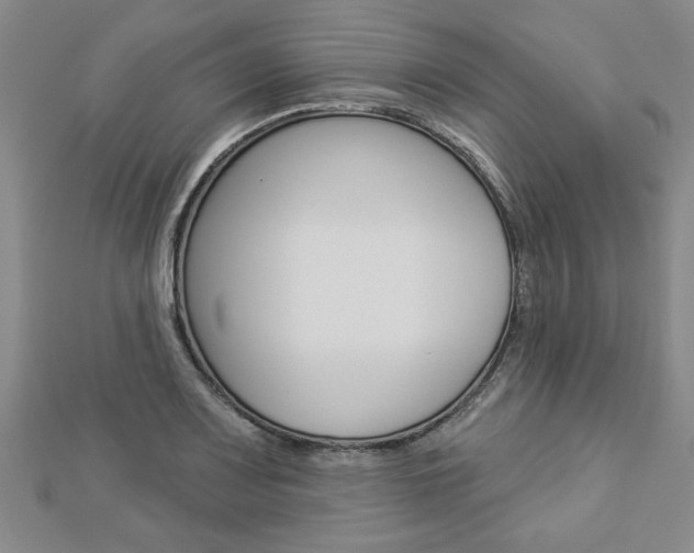 X0000112981083200908270913