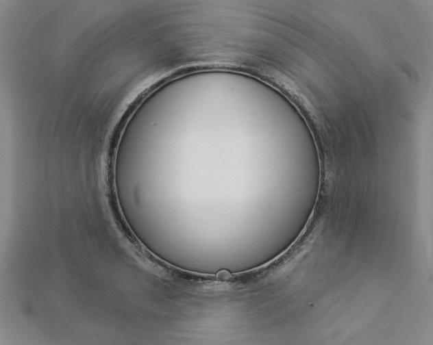 X0000112981085200908270913