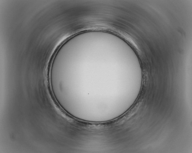 X0000112981087200908270913