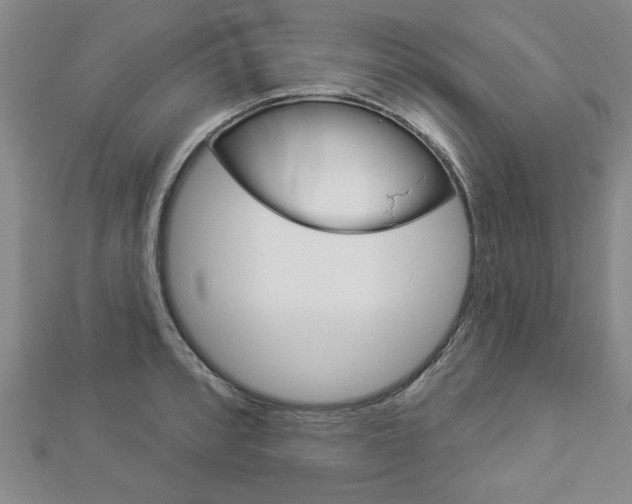 X0000112981088200908270913