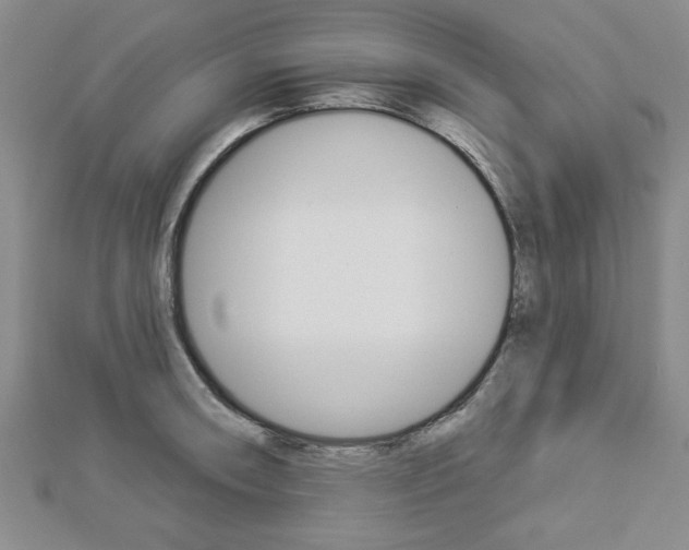 X0000112981090200908270913