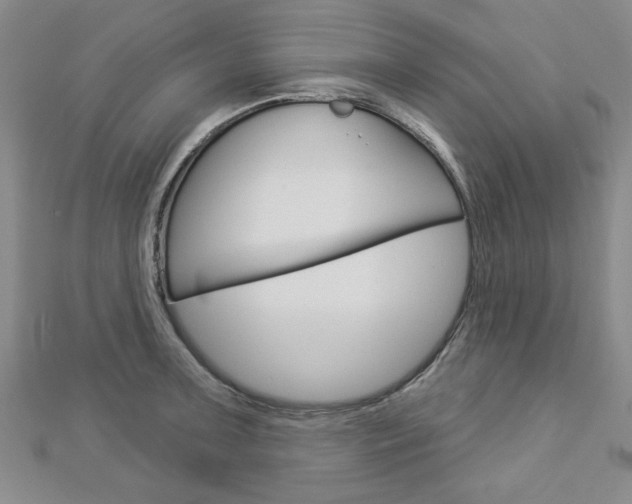 X0000112981091200908270913