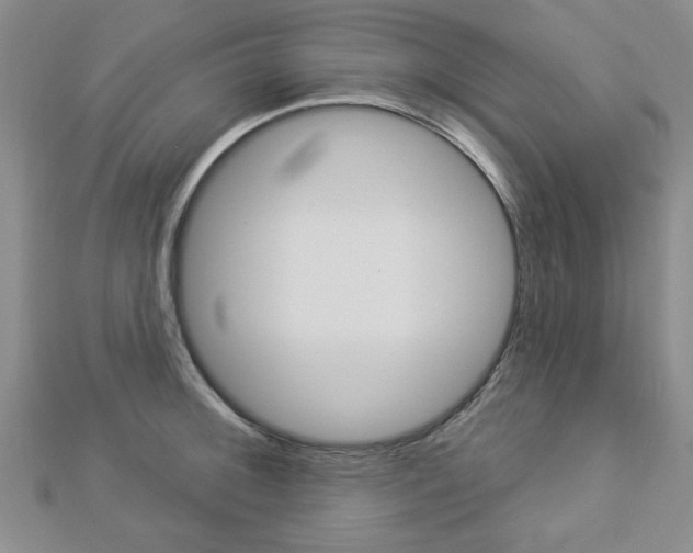 X0000112981092200908270913