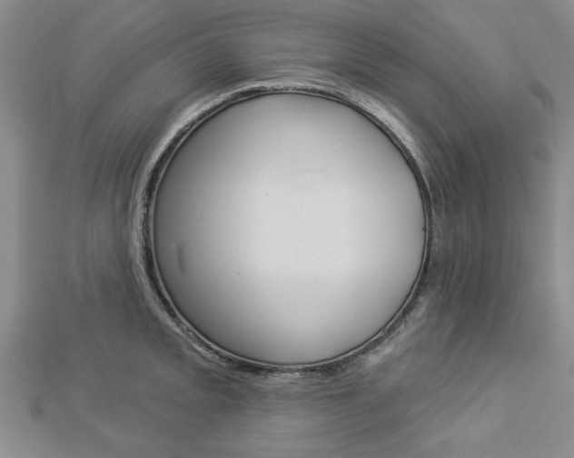 X0000112981093200908270913