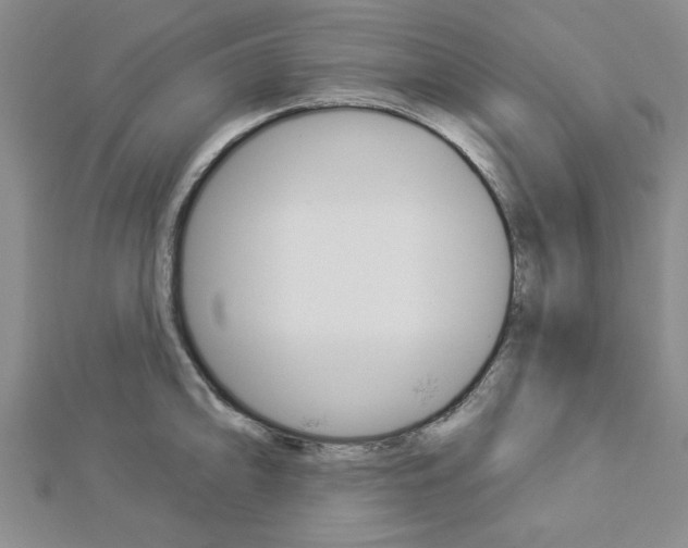 X0000112981094200908270913