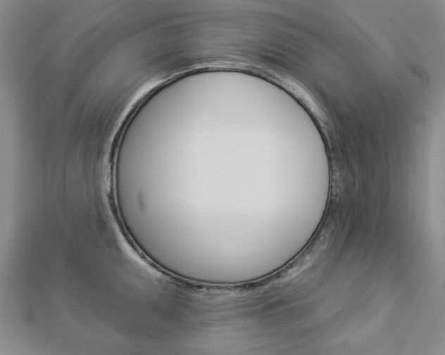 X0000112981095200908270913