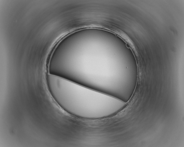 X0000112981096200908270913