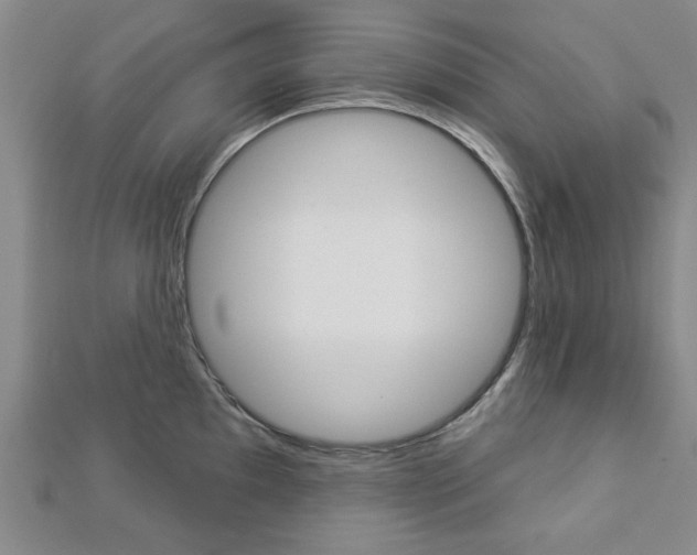 X0000112981097200908270913