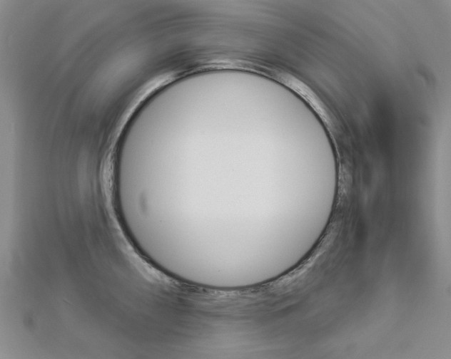X0000112981098200908270913