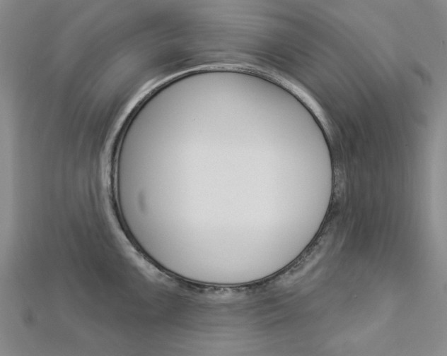 X0000112981099200908270913