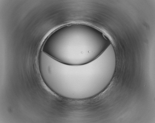 X0000112981100200908270913