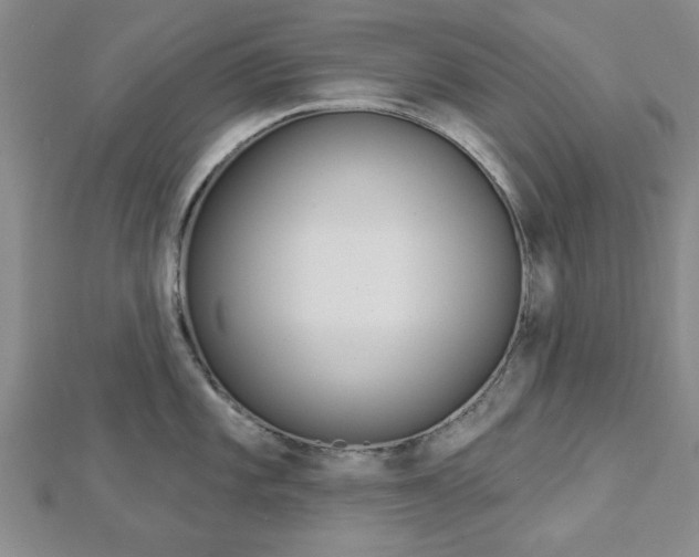 X0000112981101200908270913