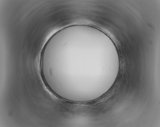 X0000112981103200908270913