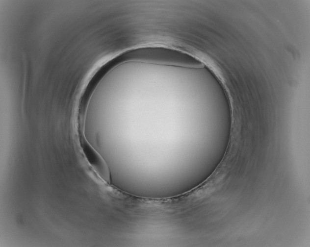 X0000112981104200908270913