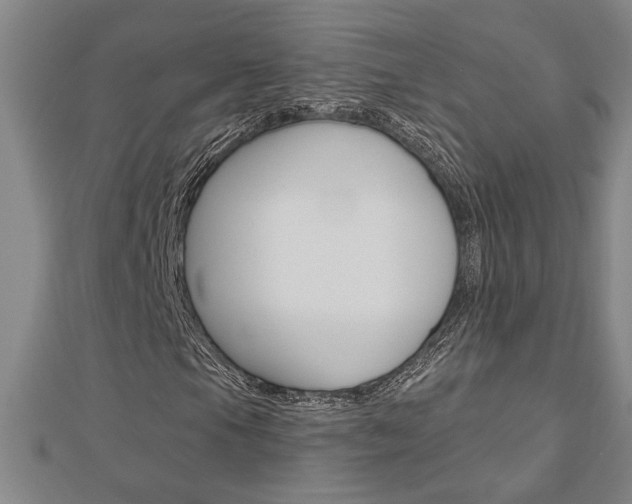 X0000112981105200908270912