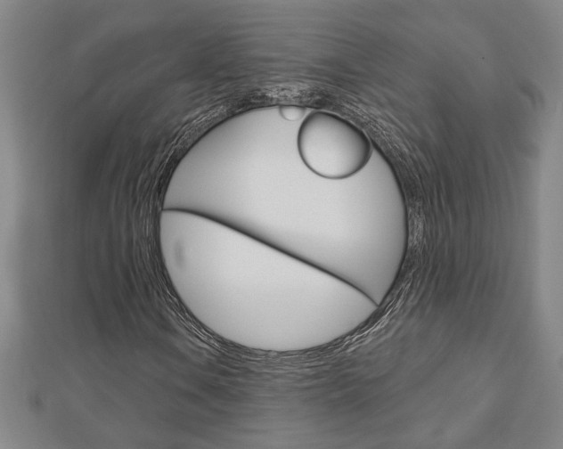 X0000112981106200908270912