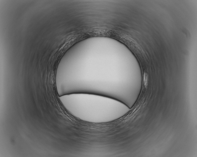 X0000112981107200908270912