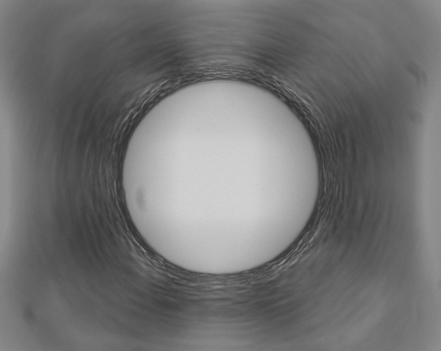 X0000112981108200908270912