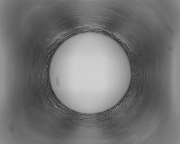 X0000112981110200908270912