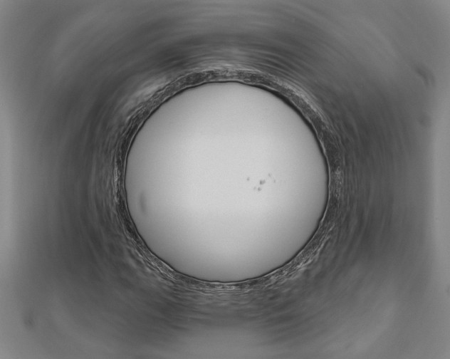 X0000112981111200908270912