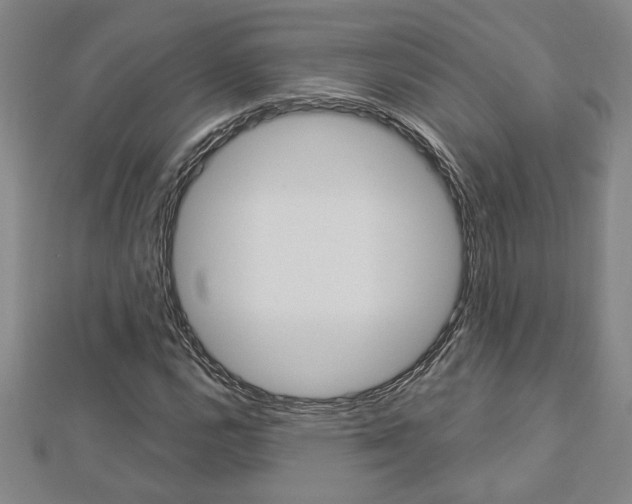 X0000112981112200908270912