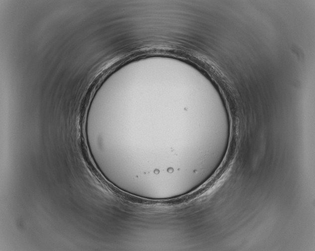 X0000112981113200908270912