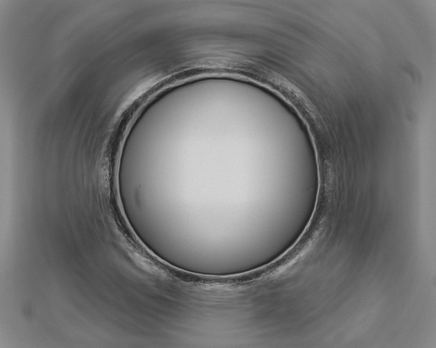 X0000112981114200908270912