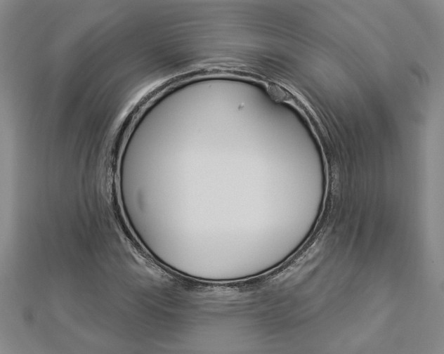 X0000112981115200908270912