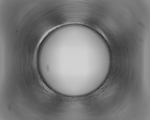 X0000112981116200908270912