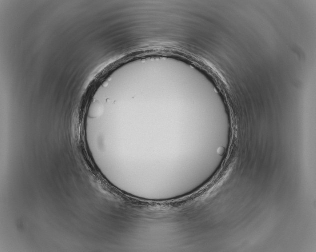 X0000112981117200908270912