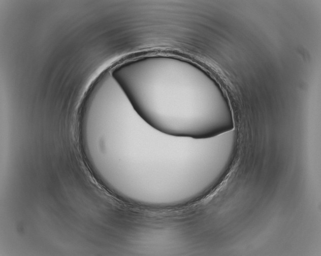 X0000112981118200908270912