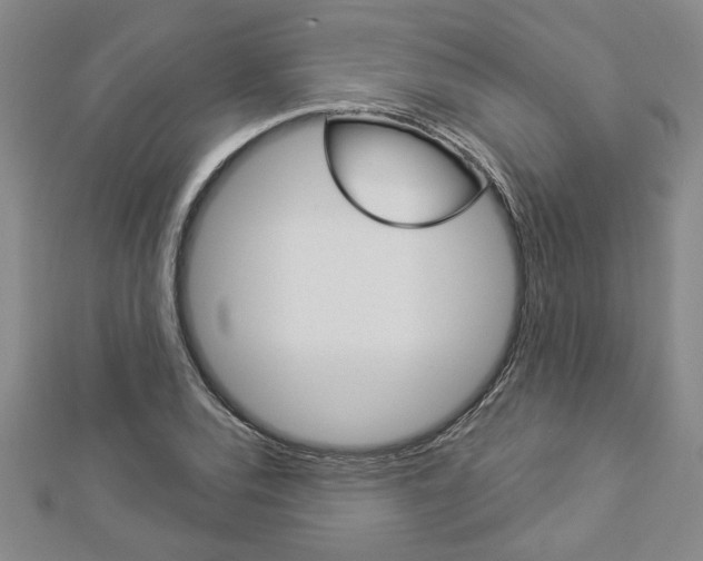 X0000112981120200908270912