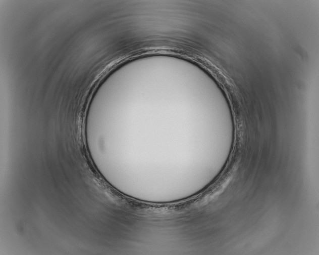 X0000112981121200908270912