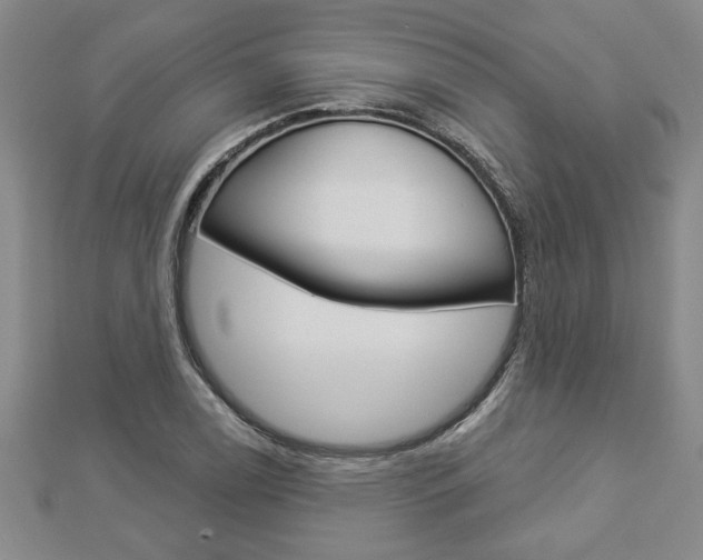 X0000112981122200908270912